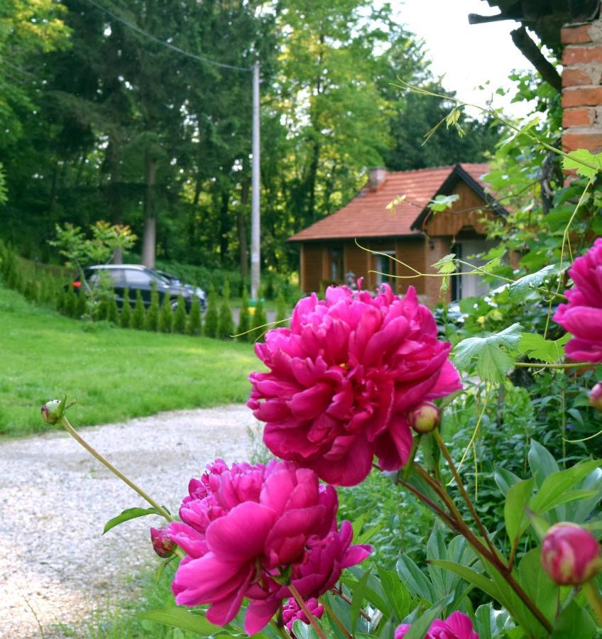 Apartmani Katruza Sveti Martin Na Muri Exterior foto